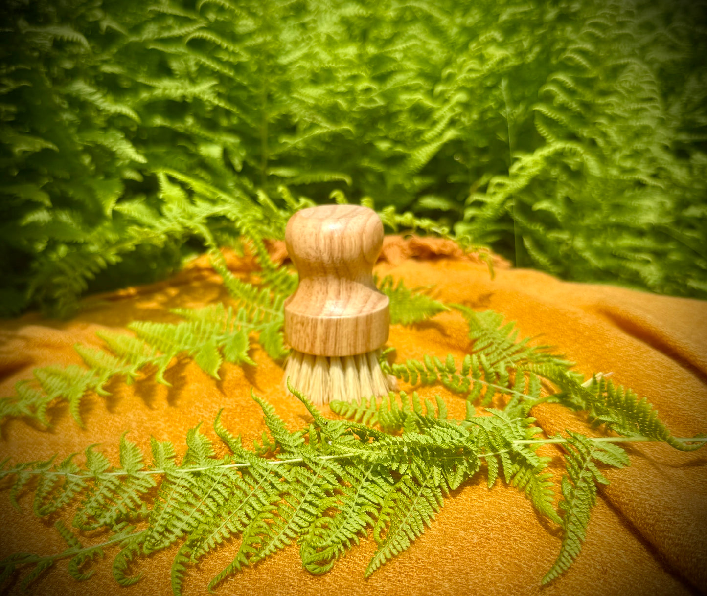 Dish Soap Brush