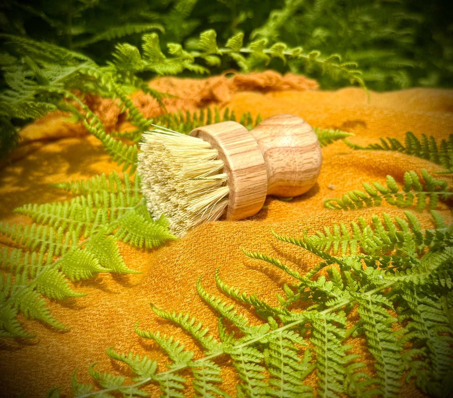 Dish Soap Brush